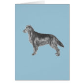 Flat Coated Retriever (Front)