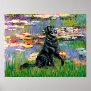 Flat Coated Retriever 2 - Lilies 2 Poster