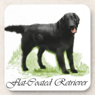 Flat-Coated Retriever Art Gifts Beverage Coaster