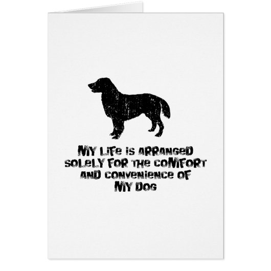 Flat-Coated Retriever Cards (Front)