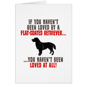 Flat-Coated Retriever Cards