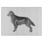 Flat Coated Retriever