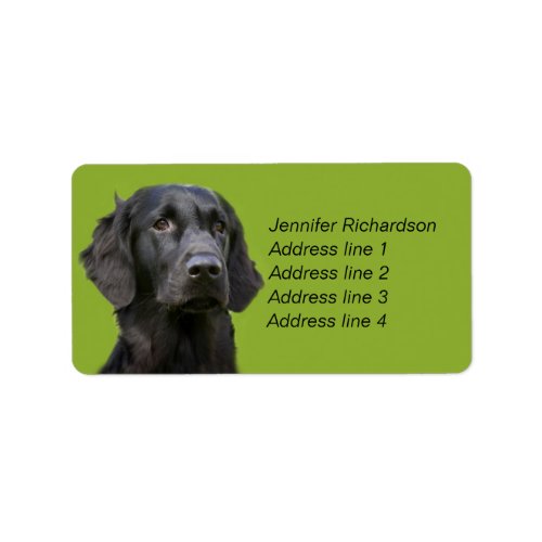 Flat Coated Retriever dog black custom Label