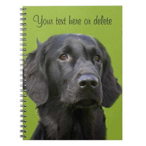 Flat Coated Retriever dog black photo custom Notebook