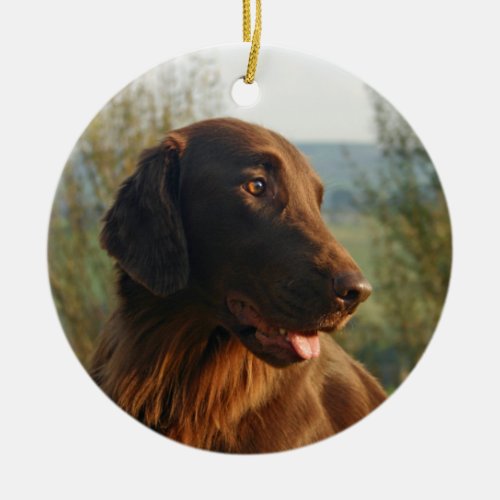 Flat Coated Retriever dog photo hanging ornament