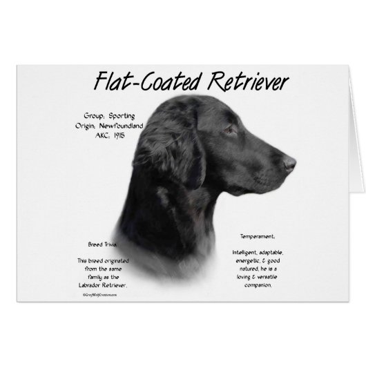 Flat-Coated Retriever History Design Cards (Front Horizontal)