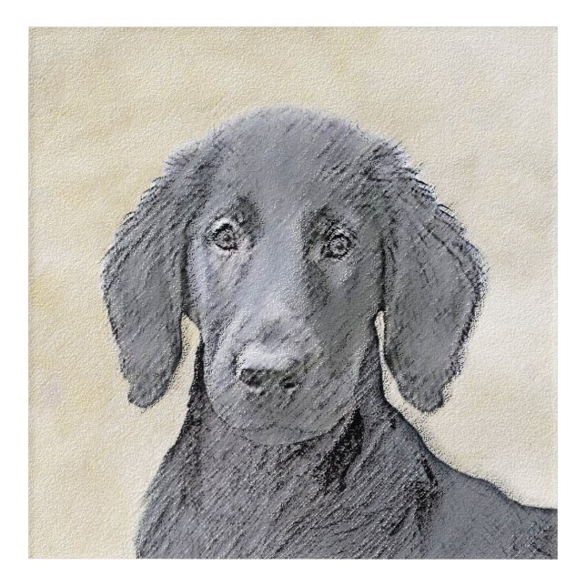 Flat-Coated Retriever Painting - Original Dog Art (Front)