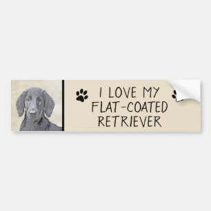 Flat-Coated Retriever Painting - Original Dog Art Bumper Sticker