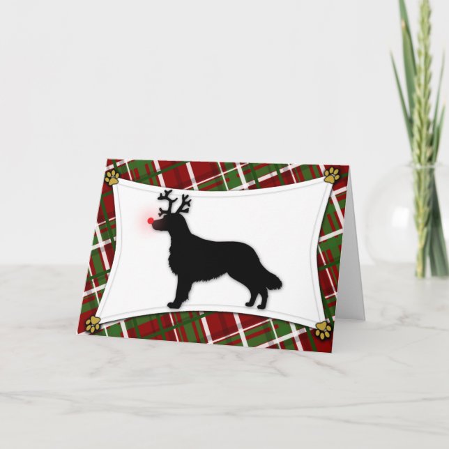 Flat Coated Retriever Reindeer Christmas Card (Front)