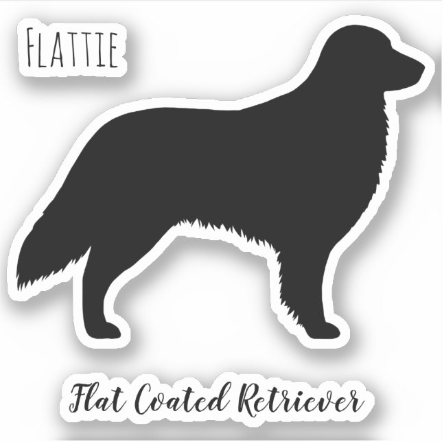 Flat Coated Retriever Silhouette Flattie Dog Sticker (Front)
