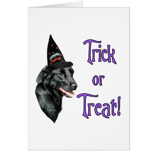 Flat-Coated Retriever Trick Cards (Front)