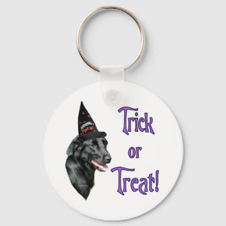 Flat-Coated Retriever Trick Keychain