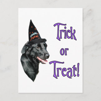 Flat-Coated Retriever Trick Postcard