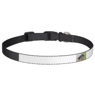 flat coated retriever wet pet collar