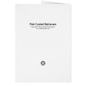 Flat-Coated Retrievers (Back)