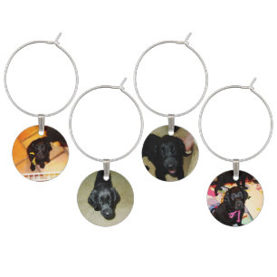 Flat Coated Retrievers -- Puppy Faces Wine Charm