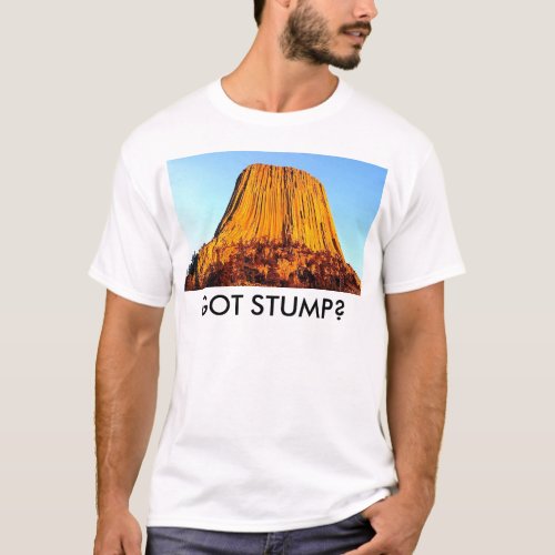 Flat Earth Has No Forests Got Stump Mens T_Shirt