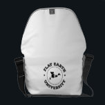 Flat Earth -- Messenger Bag<br><div class="desc">Flat Earth -- Messenger Bag</div>