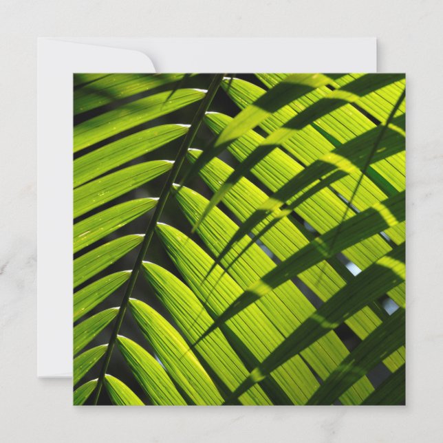 Flat Greeting Card featuring green palm leaves (Front)