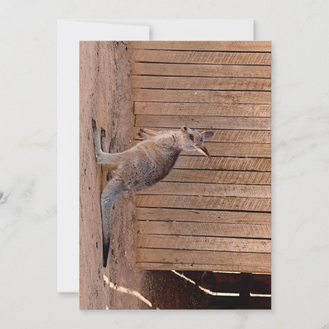 Flat holiday card basic semi gloss (Front)