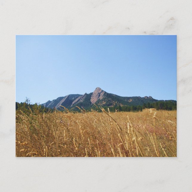 Flat Irons Postcard (Front)