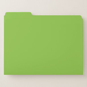 Flat Lime Green Background – School Texture File Folder