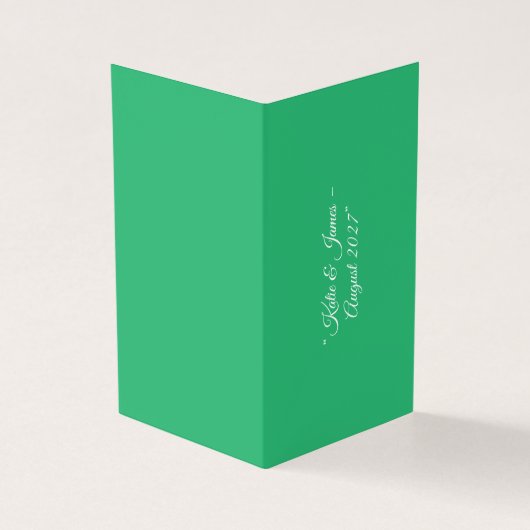 Flat Mint Green Background – Wedding Design (Outside)