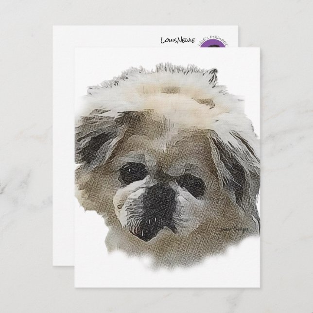 Flat Note Card Louis Newie the rescue Pekingese (Front/Back)