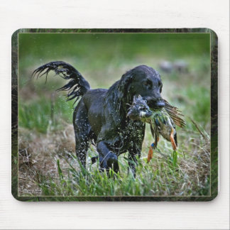Flatcoated Retriever with duck Mouse Pad