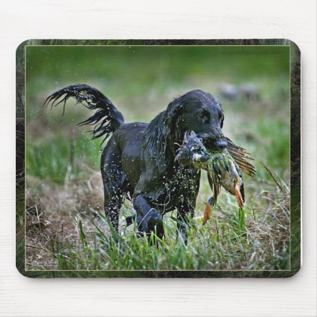 Flatcoated Retriever with duck Mouse Pad (Front)