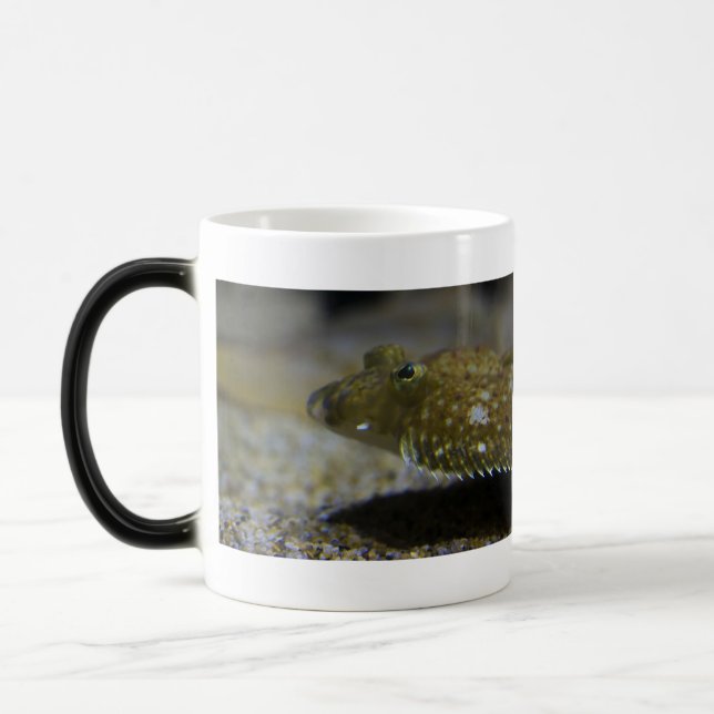 Flatfish Color Morph Mug (Left)