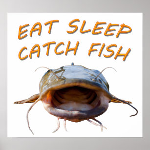 Flathead Catfish Poster