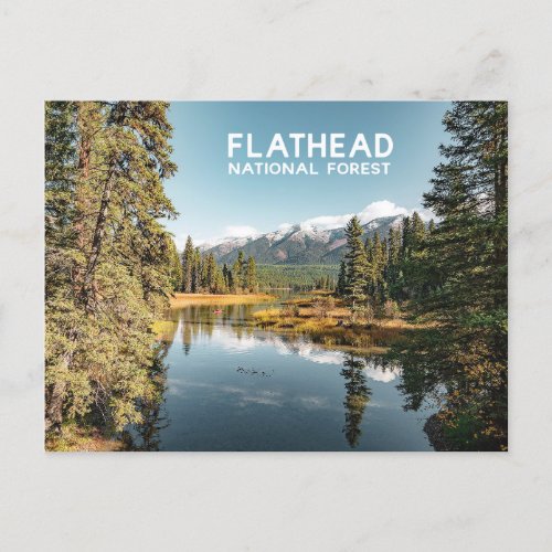 Flathead National Forest Montana Lake Photo Postcard
