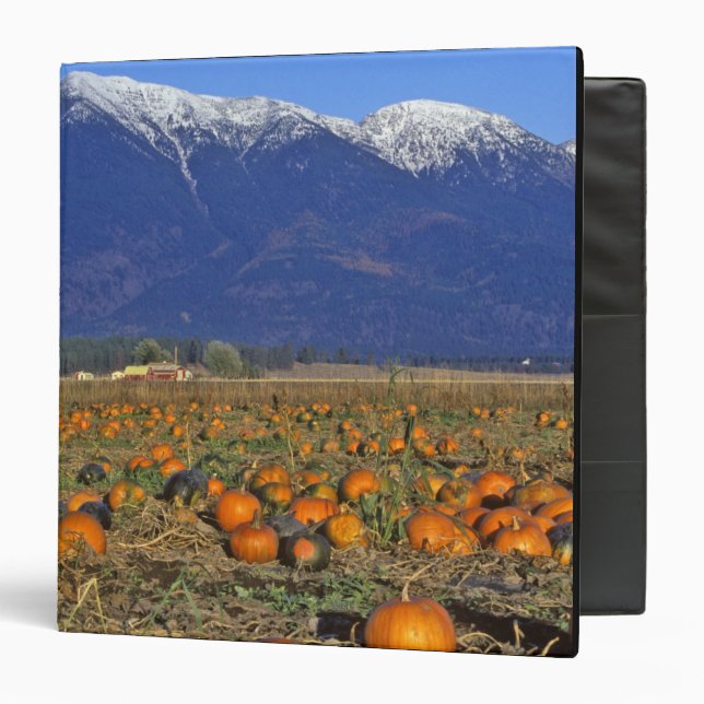 Flathead Valley Montana Pumpkin patch 3 Ring Binder (Front/Inside)