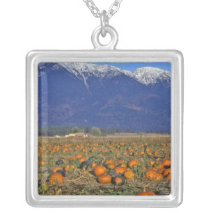 Flathead Valley Montana Pumpkin patch Silver Plated Necklace