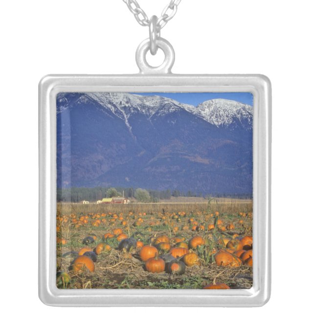 Flathead Valley Montana Pumpkin patch Silver Plated Necklace (Front)