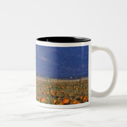 Flathead Valley Montana Pumpkin patch Two_Tone Coffee Mug