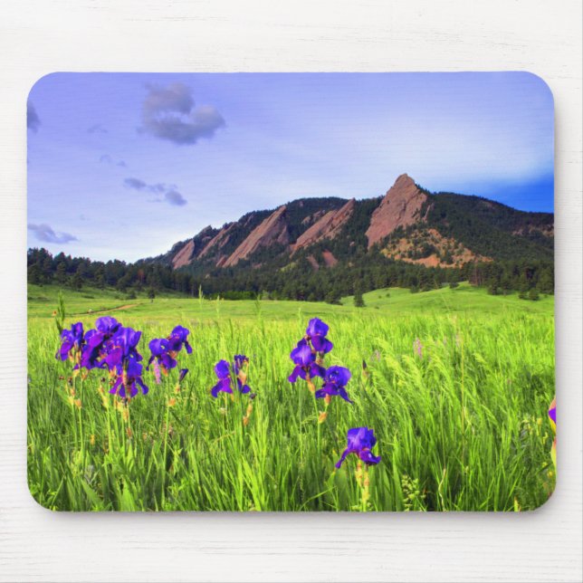 Flatiron Beauty Mouse Pad (Front)