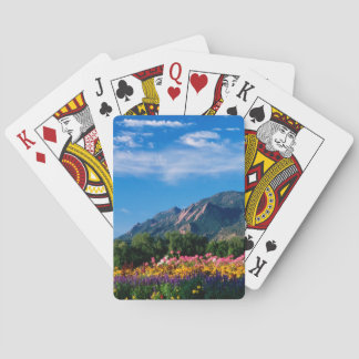 Flatirons and Flowers, Boulder Colorado Poker Cards