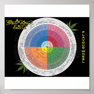 Flavor Wheel Poster