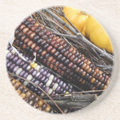 Flavors of Fall Drink Coaster