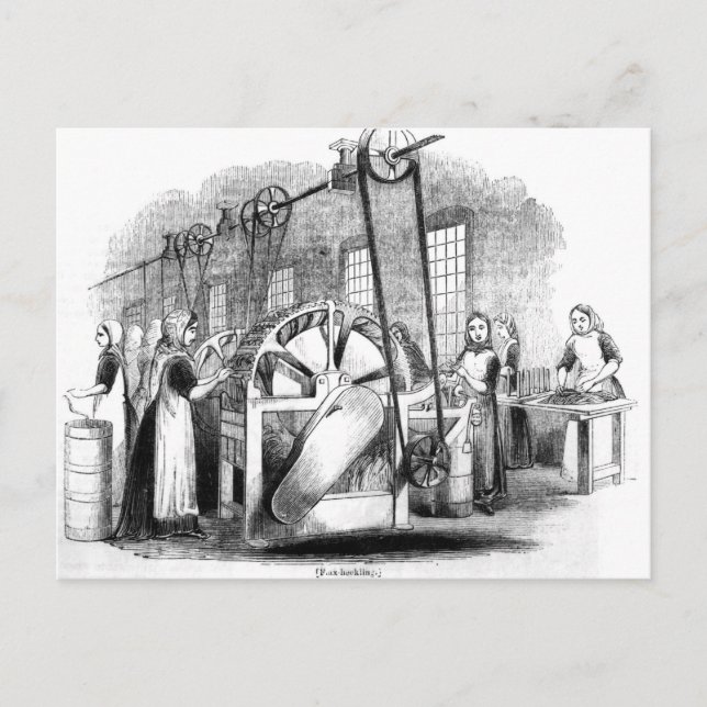 Flax Heckling Postcard (Front)