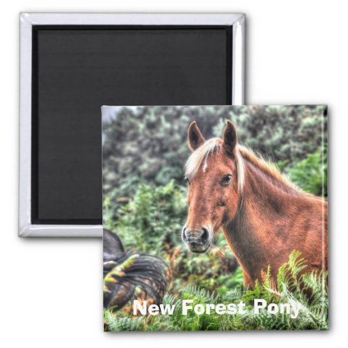 Flaxen_maned New Forest Pony  Forest UK Magnet