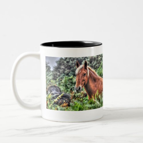 Flaxen_maned New Forest Pony of Hampshire England Two_Tone Coffee Mug