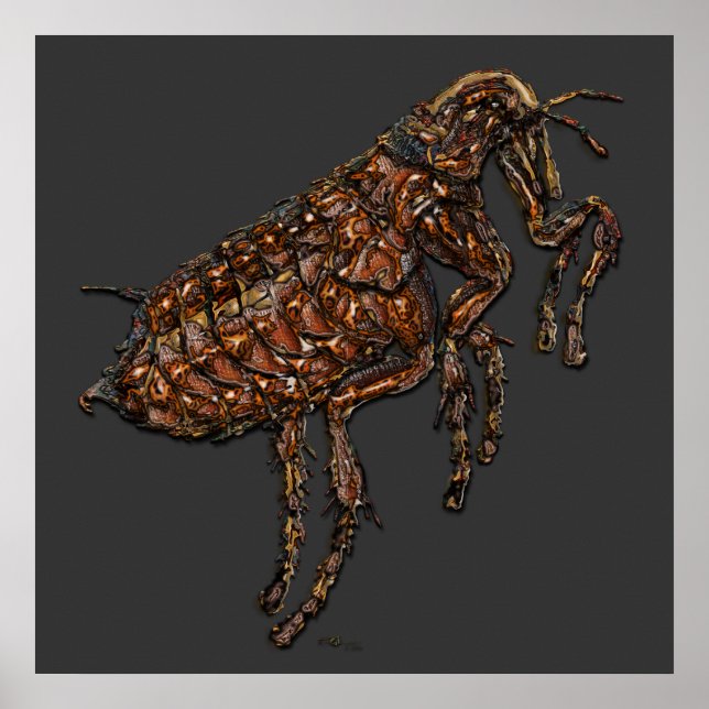 Flea on Gray Poster (Front)