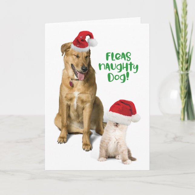 Fleas Naughty Dog Funny Christmas Dog and Cat Holiday Card (Front)
