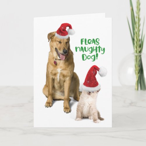Fleas Naughty Dog Funny Christmas Dog with Cat Holiday Card