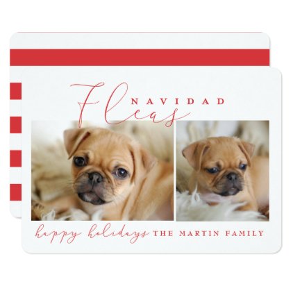 FLEAS NAVIDAD CARD