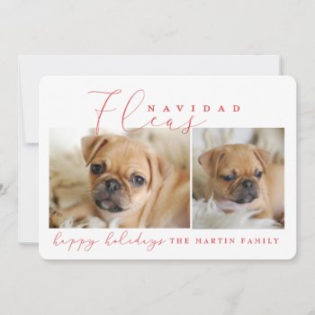 Fleas Navidad Holiday Card by Stacy_Cooke_Art at Zazzle