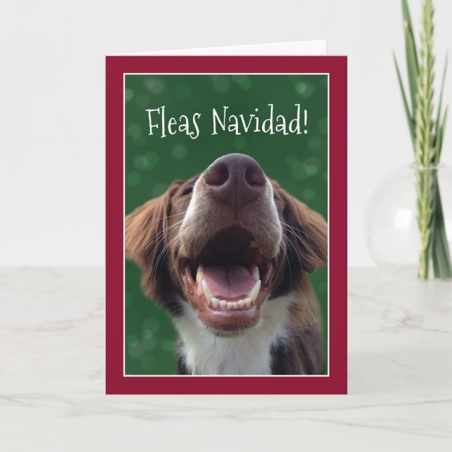 Fleas Navidad! Humorous Dog at Christmas Holiday Card (Front)